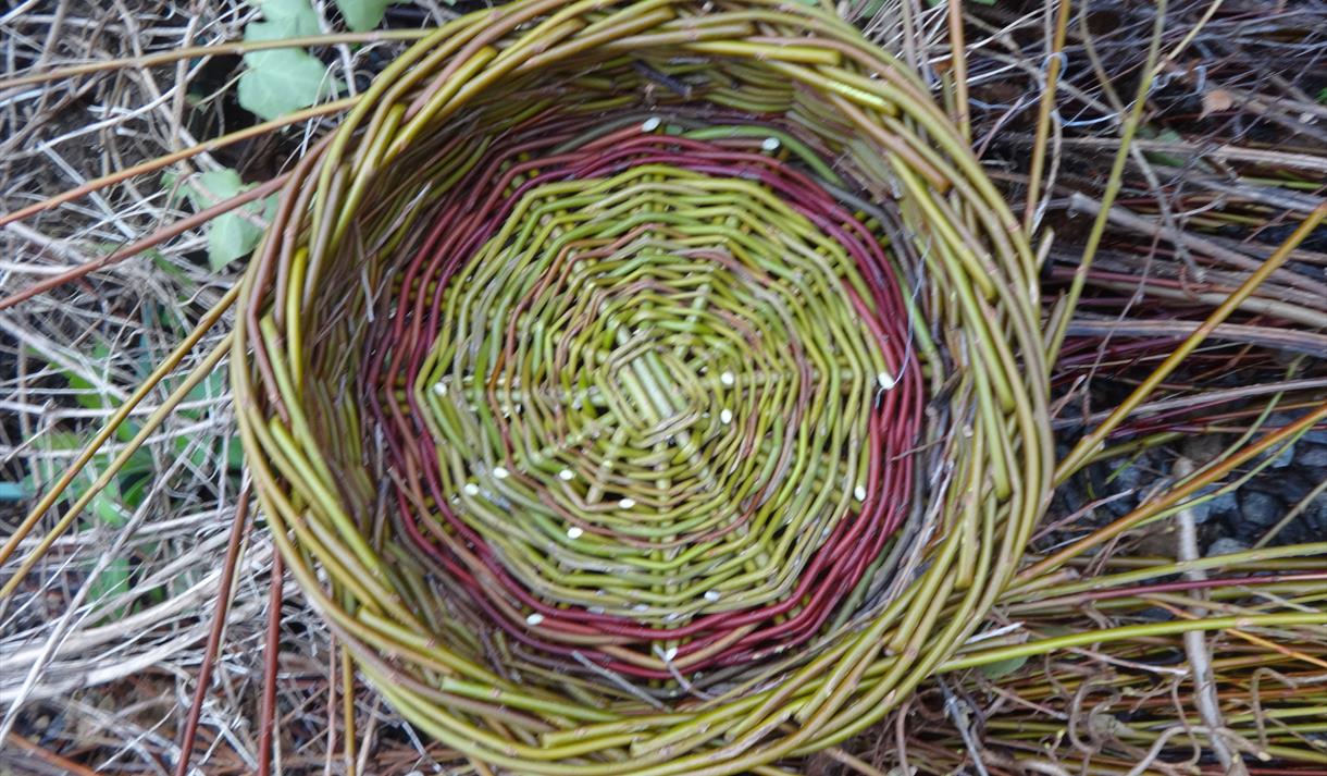 Willow Weaving Workshop at Hanwell Wine Estate
