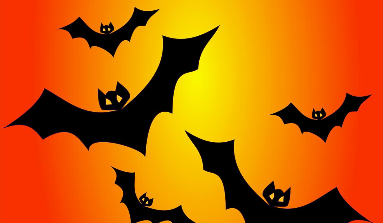 Halloween Bat Trail at Newstead Abbey