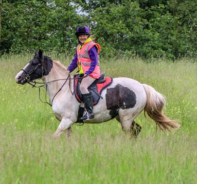 Derbyshire Pony Trekking