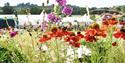Belvoir Castle Flower & Garden Show
