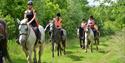 Derbyshire Pony Trekking | Visit Nottinghamshire
