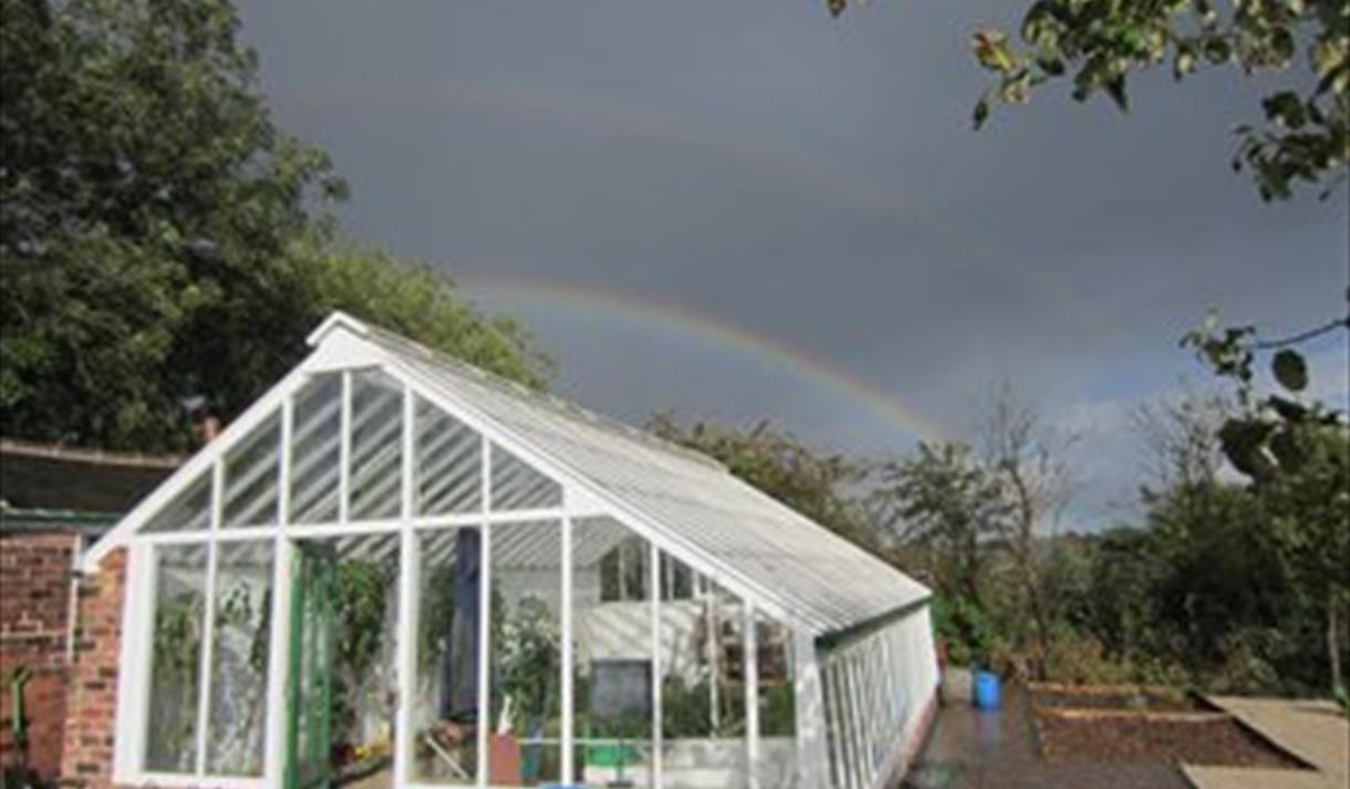 St Anns Allotments Guided Heritage Walk