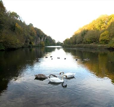 Creswell Crags, Nottinghamshire