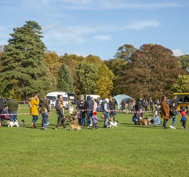 Pawsby Dog Show at Thoresby Park | Visit Nottinghamshire 