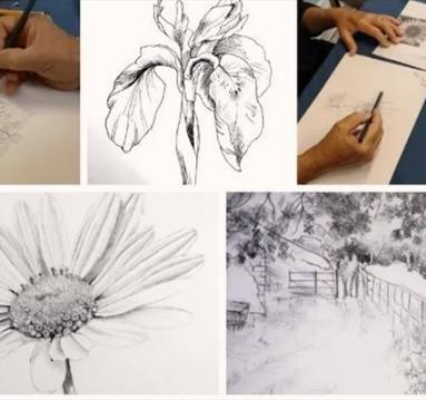 Pencil Drawing for Beginners at Hanwell Wine Estate | Nottinghamshire