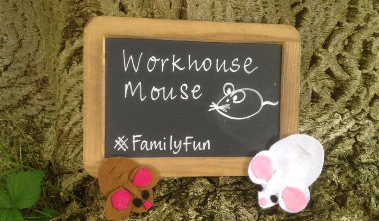 Rats, Bats & Cats Craft Day - The Workhouse