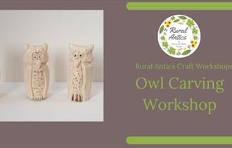 Graphic for the workshop including the name of the event and wooden carved owls.