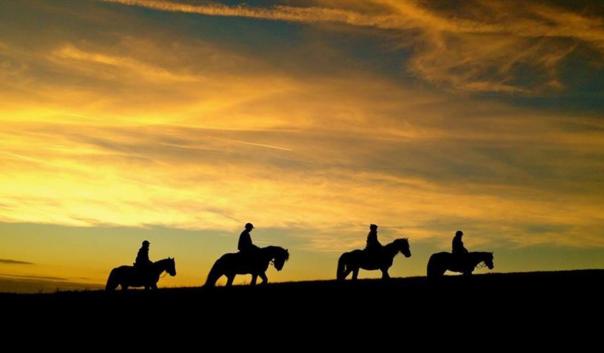 Sunset and Night Treks at Derbyshire Pony Trekking