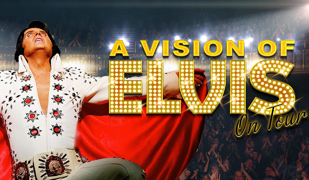 A Vision of Elvis - CANCELLED