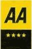 4 AA Gold Stars
