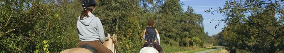 Horse Riding Pic