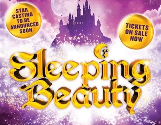 Sleeping Beauty Poster