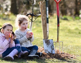 Blossomtime Picnic and Stories in the Orchard
