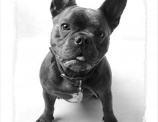 LIGHTROOM DARKROOM Photography Exhibition - Saddleworth Museum and Gallery