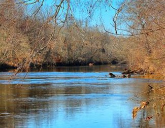 a river with trees overhanging the banks