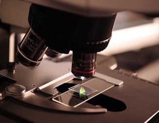 Gallery Oldham - Oldham Microscopical and Natural History Society Open Day