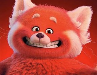 Red Panda Character
