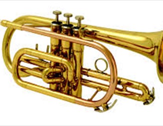 New Year's Viennese Gala Concert