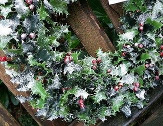 Forest School Christmas Wreaths Workshop at Daisy Nook Country Park