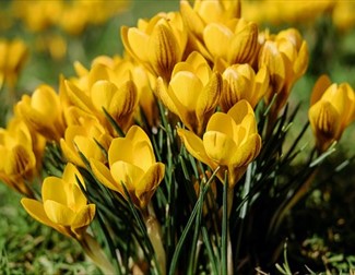 Spring Open Day at The Hub