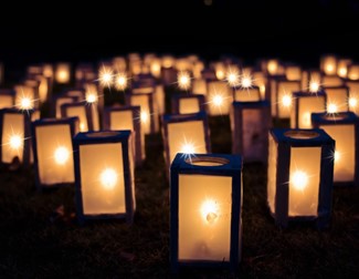 a multitude of lanterns