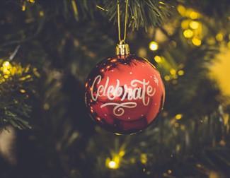 Red Celebrate Print Baubles Hang on Green Christmas Tree

