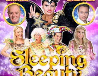 sleeping beauty poster