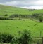 Sunfield Accomodation views