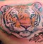 TIger tattoo