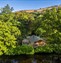 Lodge hidden in trees