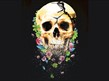 A Skull in Connemara at Oldham Coliseum Theatre