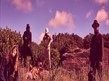Cotton Clouds Festival 2017