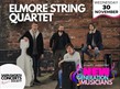 Photo of elmore string quartet
