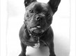LIGHTROOM DARKROOM Photography Exhibition - Saddleworth Museum and Gallery