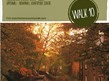 Walk route