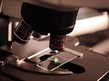 Gallery Oldham - Oldham Microscopical and Natural History Society Open Day