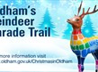 Reindeer Trail Image