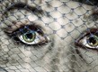 Millgate Arts Centre - My Cousin Rachel