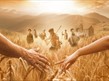 The Hired Man at Oldham Coliseum Theatre