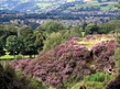 Saddleworth Circuit with RSF (cycling)  - part of EXPLORE! South Pennines Park Walk and Ride Festival 2019