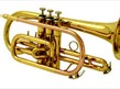 New Year's Viennese Gala Concert
