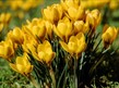Spring Open Day at The Hub