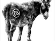 Donkeystone Brewery (Tours and Tastings)