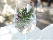 Gin Tasting Night