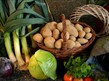 Harvest Festival at Alexandra Park and Snipe Clough