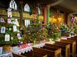 Christmas Tree Festival