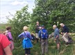 Pots and Pans History Walk