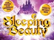 Sleeping Beauty Poster