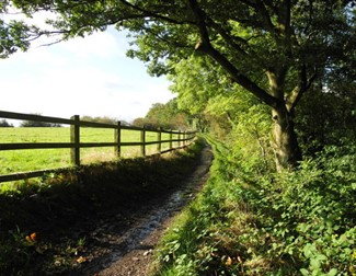 Daisy Nook footpath