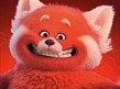 Red Panda Character